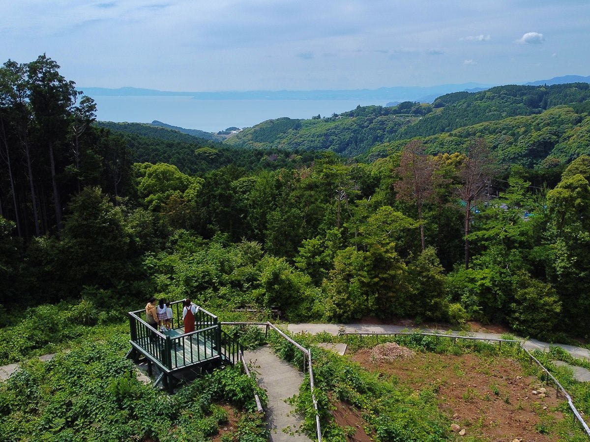 そのぎ茶温泉里山の湯宿　つわぶきの花