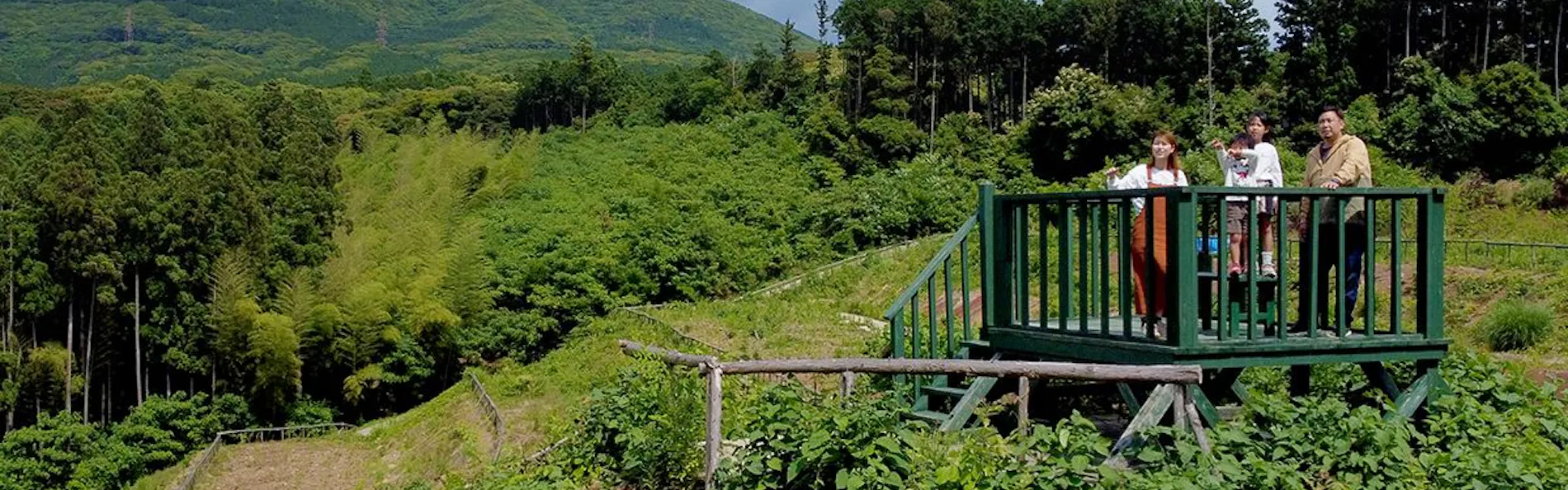 そのぎ茶温泉里山の湯宿 つわぶきの花