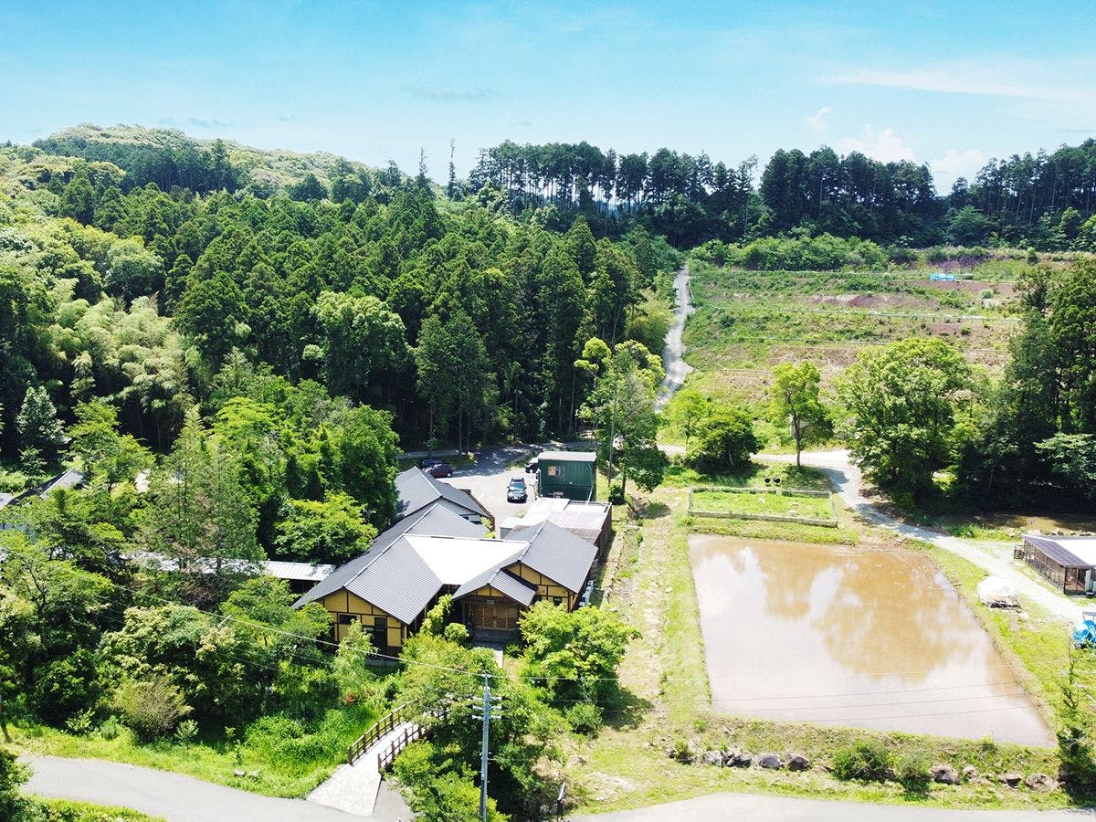 そのぎ茶温泉里山の湯宿　つわぶきの花
