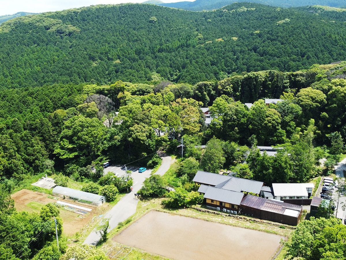そのぎ茶温泉里山の湯宿　つわぶきの花