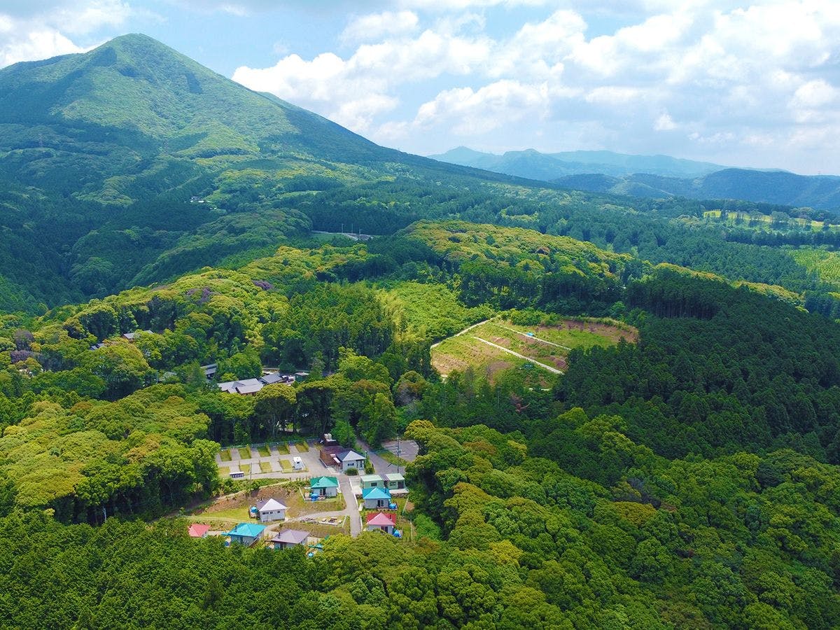 そのぎ茶温泉里山の湯宿　つわぶきの花