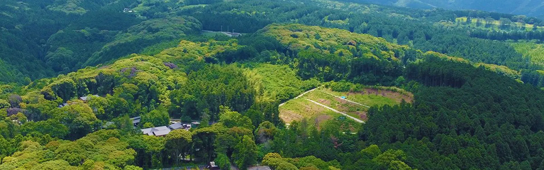 そのぎ茶温泉里山の湯宿 つわぶきの花