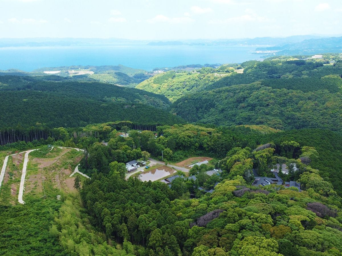 そのぎ茶温泉里山の湯宿　つわぶきの花