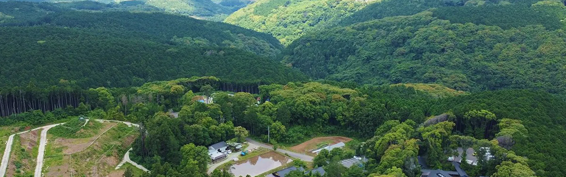 そのぎ茶温泉里山の湯宿 つわぶきの花