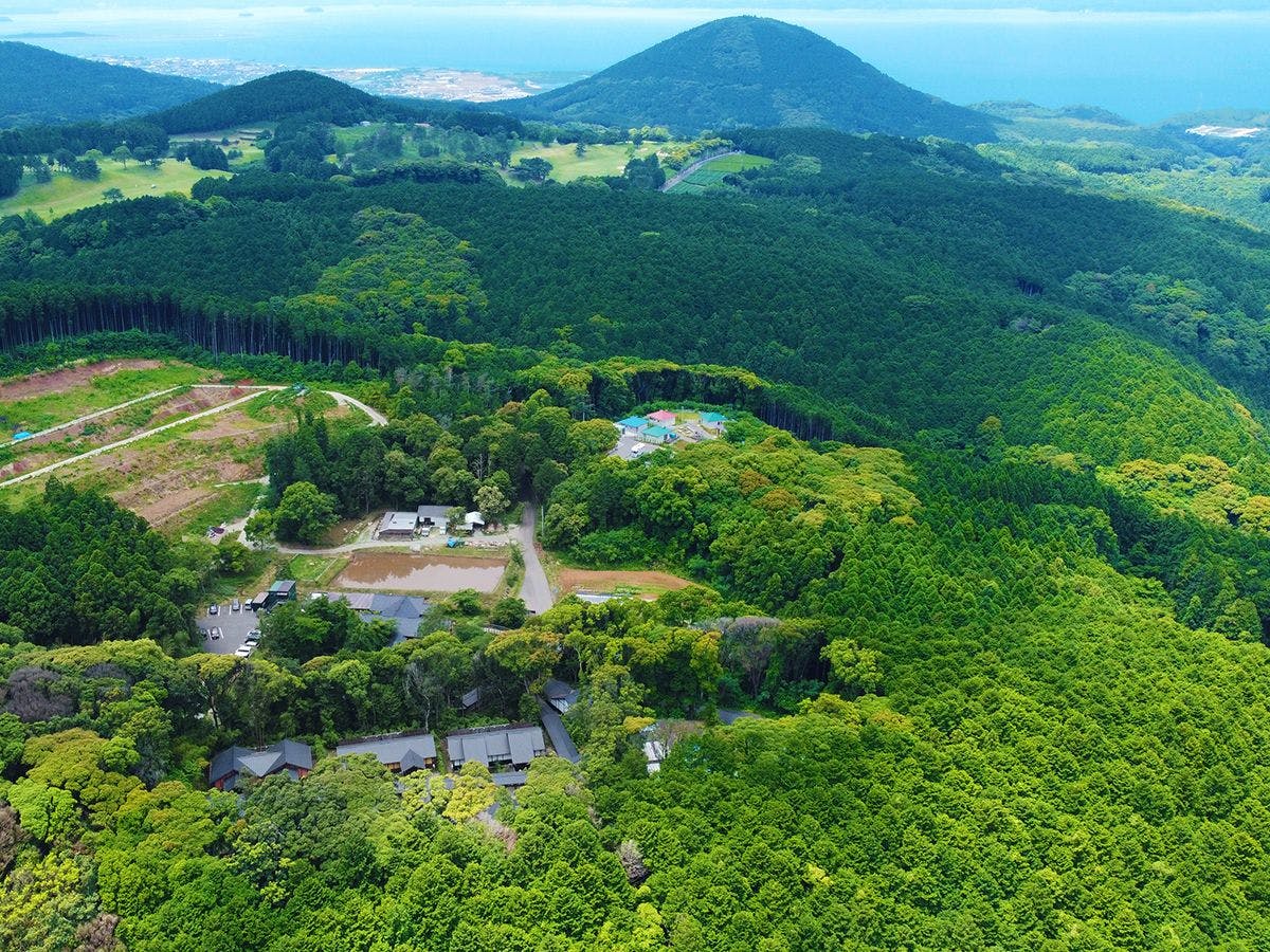 そのぎ茶温泉里山の湯宿　つわぶきの花