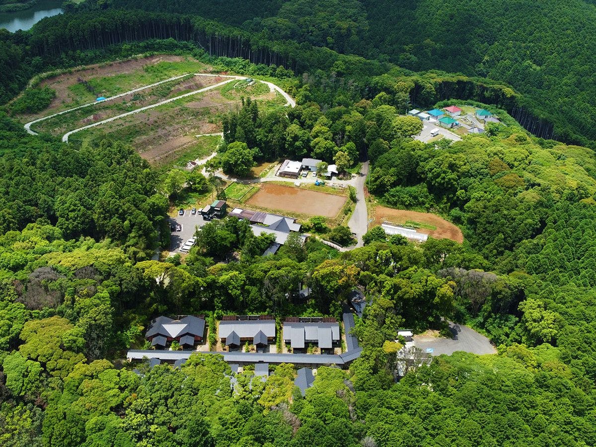 そのぎ茶温泉里山の湯宿　つわぶきの花