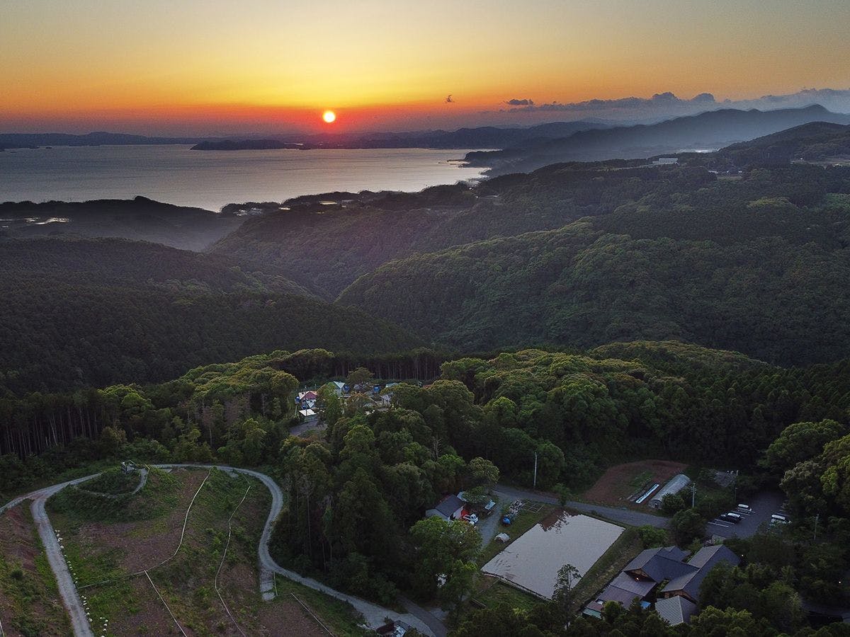 そのぎ茶温泉里山の湯宿　つわぶきの花