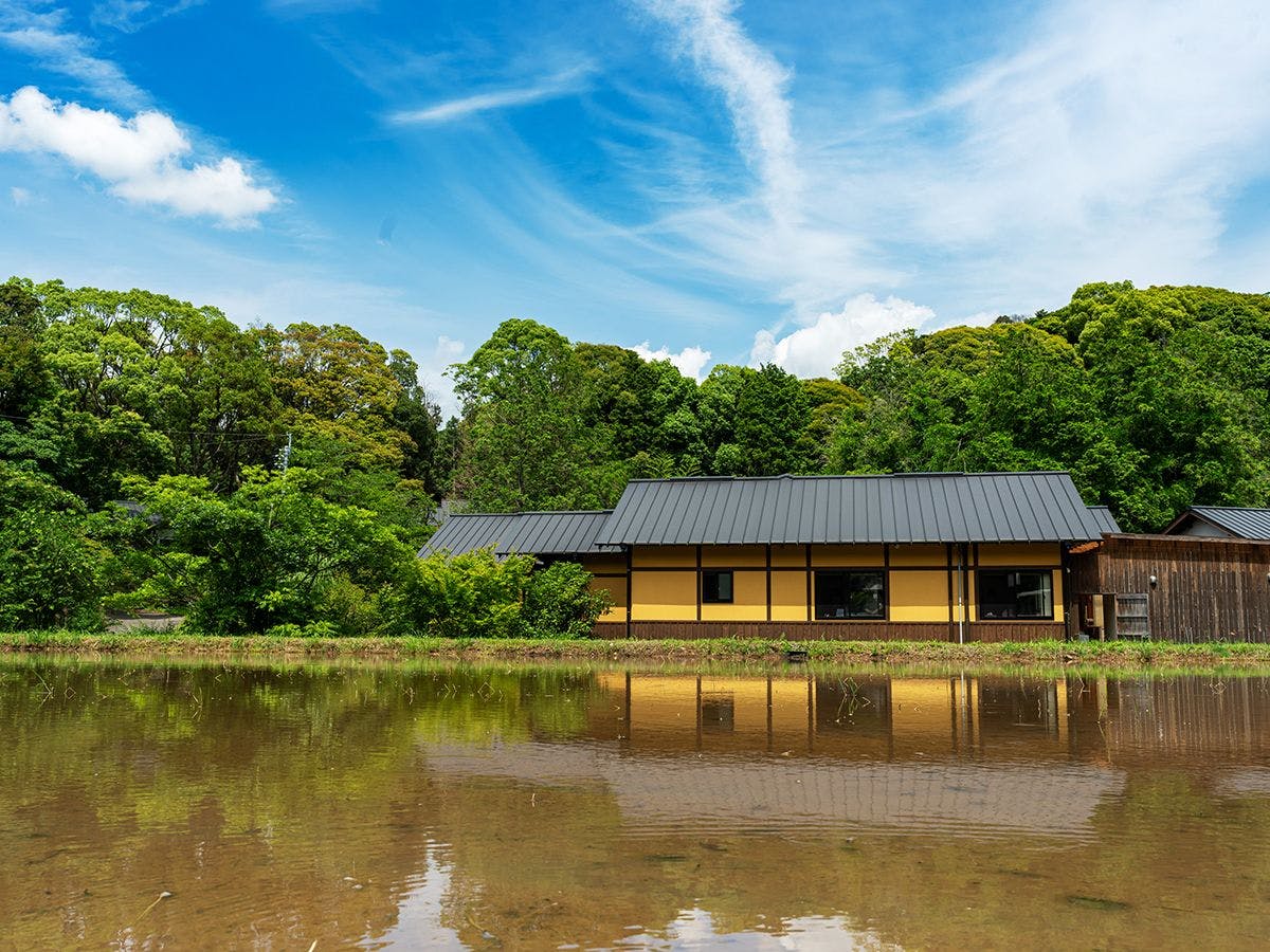 そのぎ茶温泉里山の湯宿　つわぶきの花