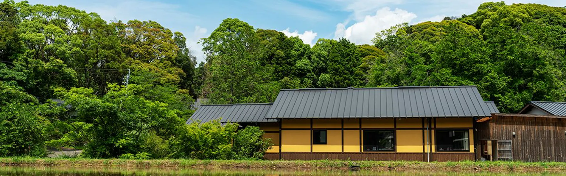 そのぎ茶温泉里山の湯宿 つわぶきの花