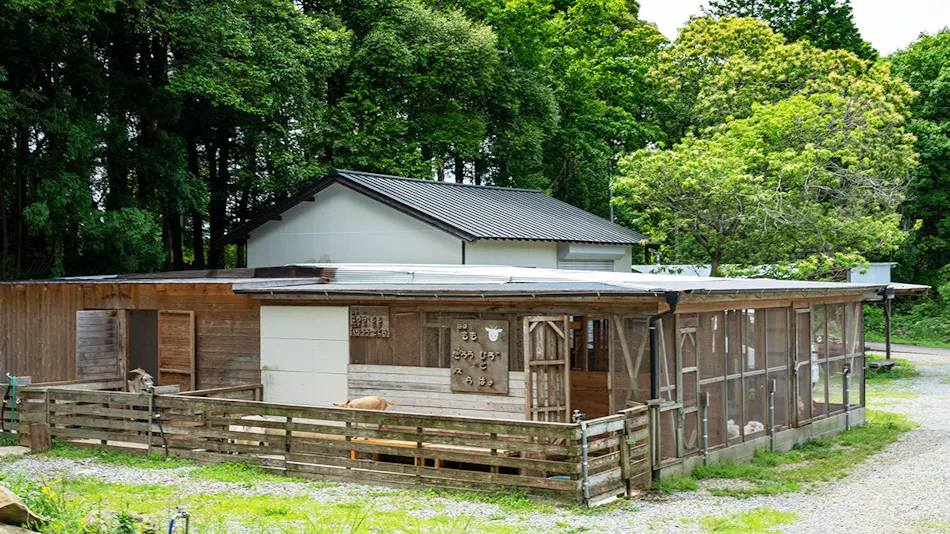 Sonogi Tea Onsen Satoyama no Yuyado Tsuwabuki no Hana