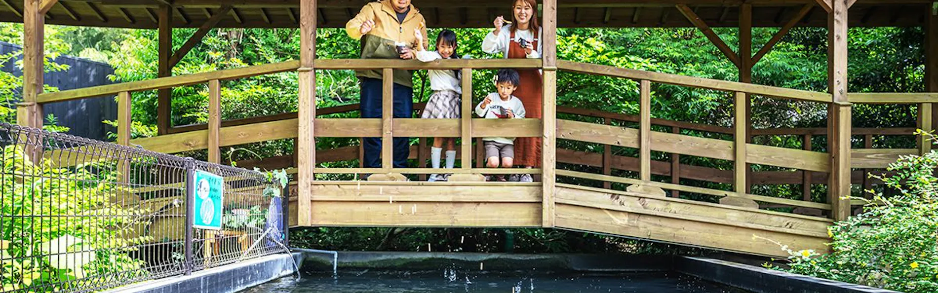 そのぎ茶温泉里山の湯宿 つわぶきの花