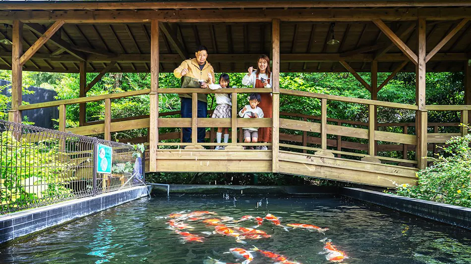 Sonogi Tea Onsen Satoyama no Yuyado Tsuwabuki no Hana