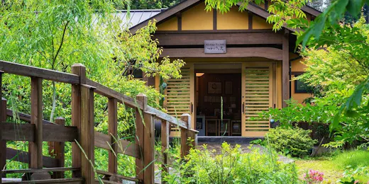 そのぎ茶温泉里山の湯宿 つわぶきの花