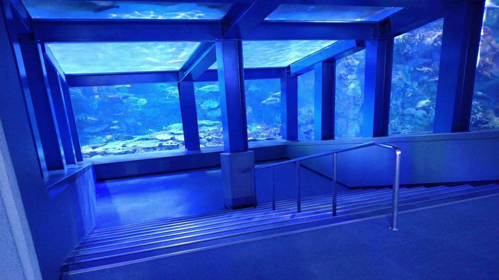 鸟羽水族馆（大型水槽）