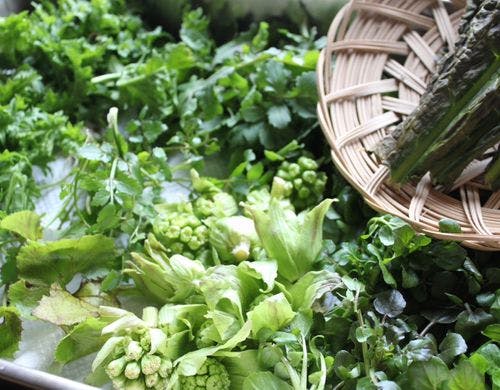 旬の山菜を早朝に山から仕入れてきます