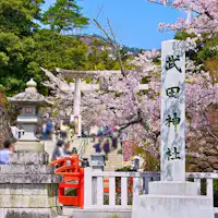 【武田神社】桜に包まれる武田神社