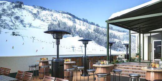 THE ALPS HOTEL HAKUBA