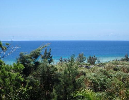 ・リビングからの景色