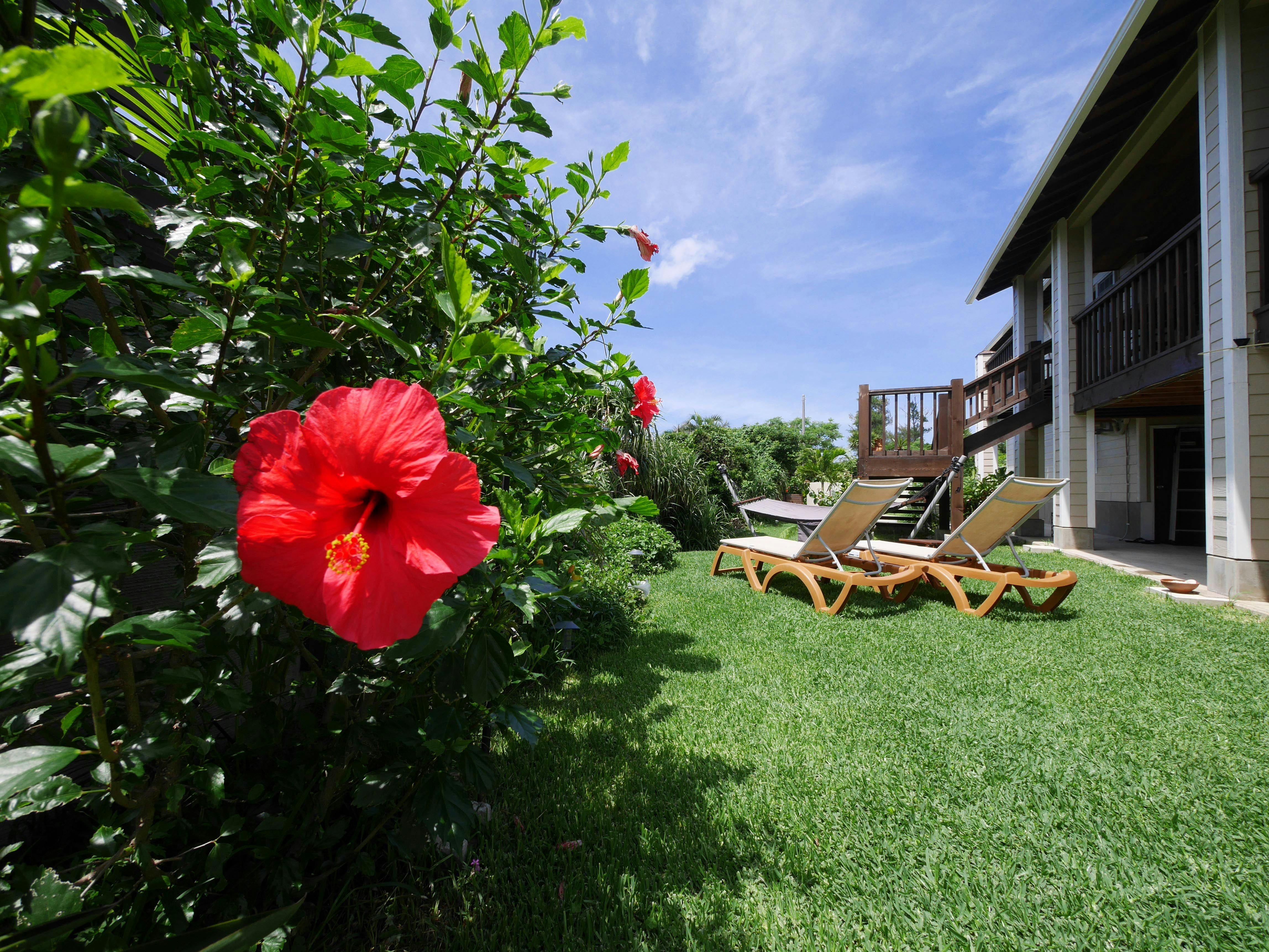 Private Vacation Villa Kohola