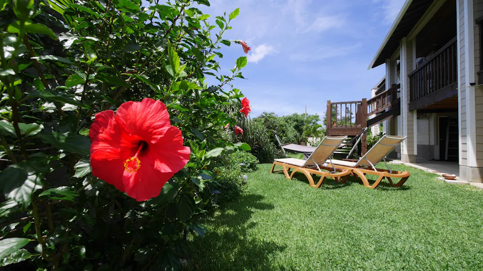 Private Vacation Villa Kohola