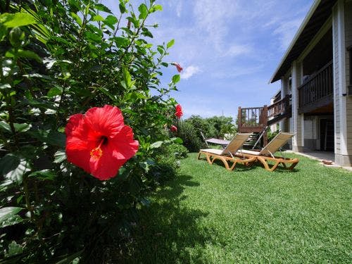 【バーベキューエリアから見た中庭】