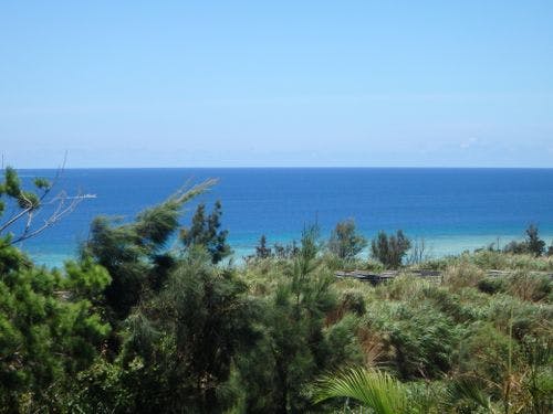 【2階のテラスからの眺め】