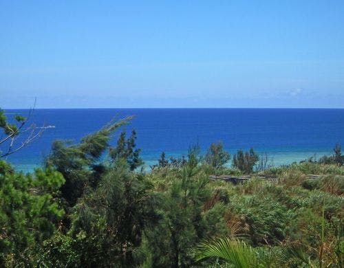 ・リビングからの景色