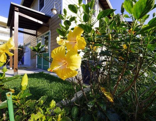 ・ガーデンエリア