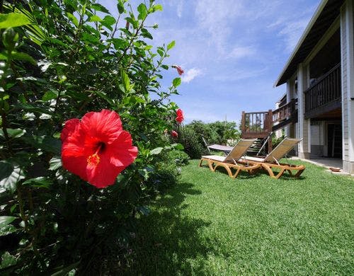 ・ガーデンエリア