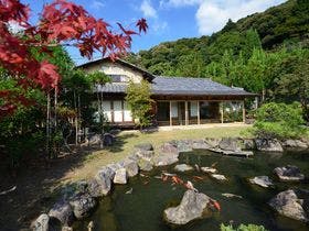 葵 哲学の道