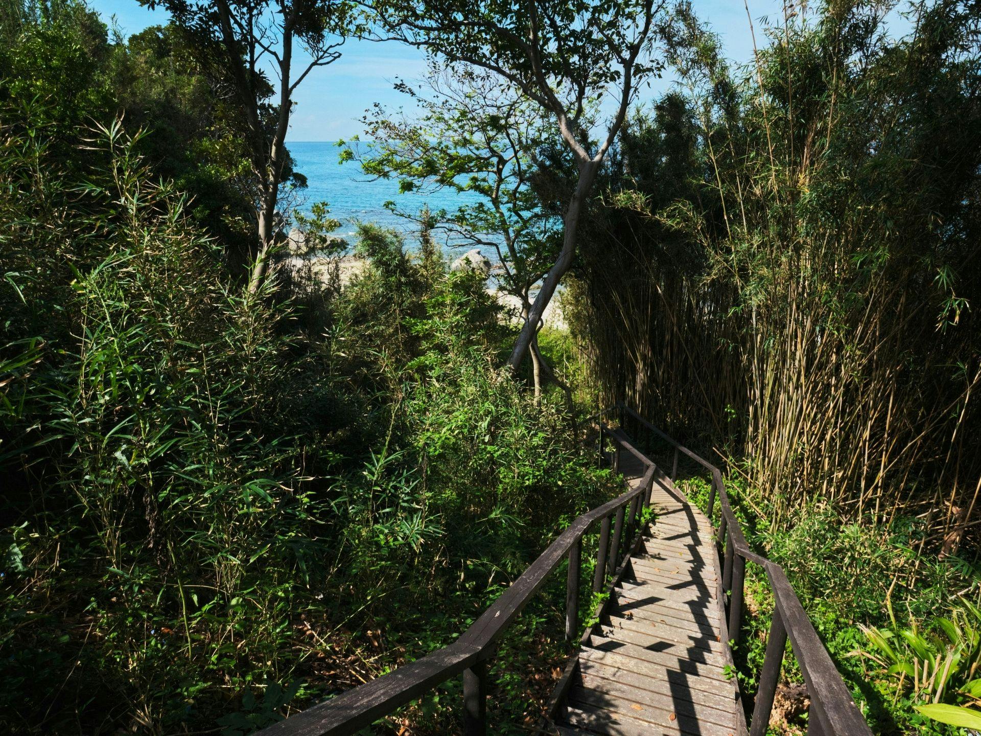 จากสวนถึงทะเล / Point Pinos