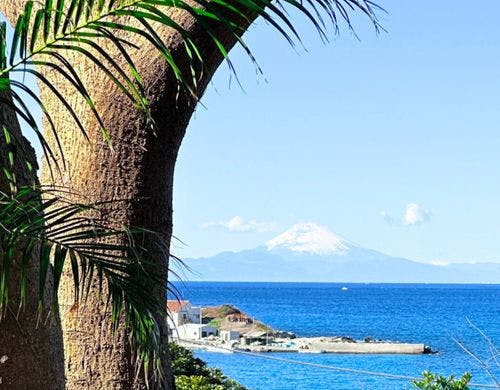 the earl_富士山ビュー