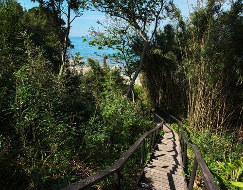 庭からそのまま海へ／Point Pinos