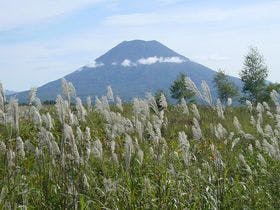湯元ニセコプリンスホテル　ひらふ亭