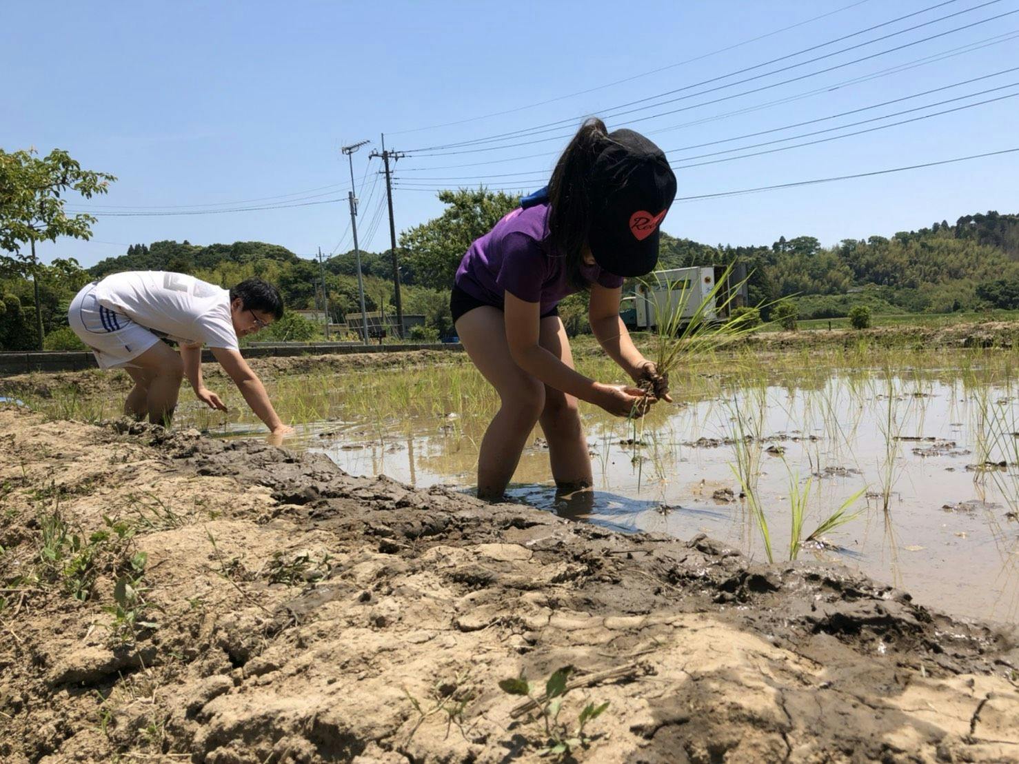まるがやつ