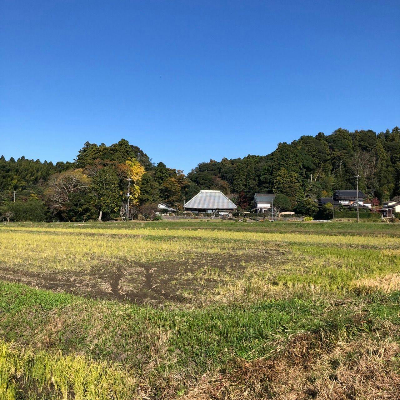 まるがやつ