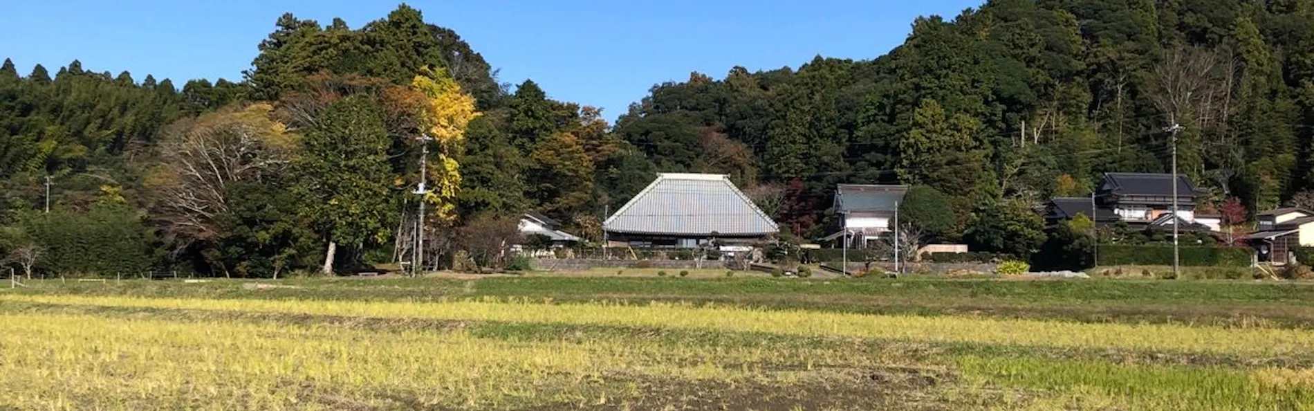 まるがやつ