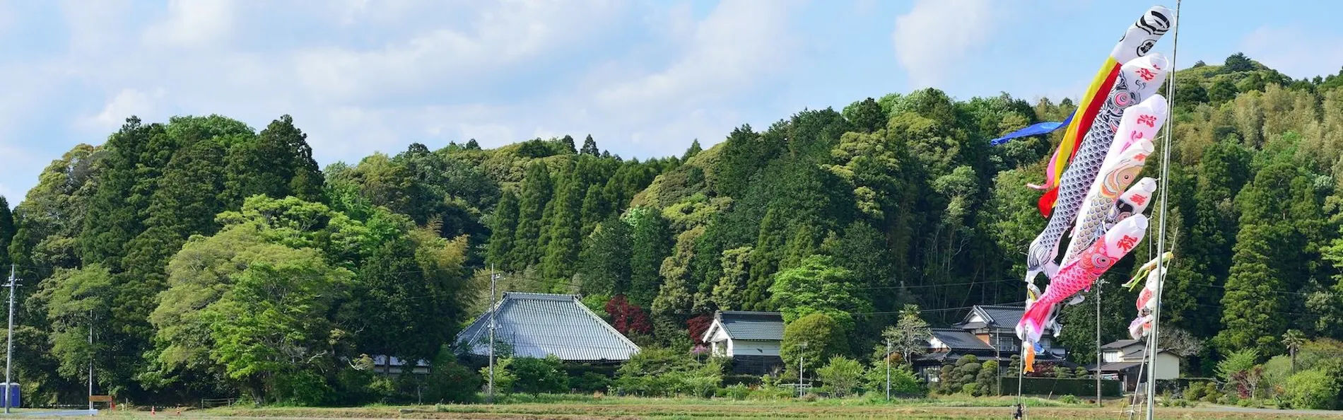 まるがやつ