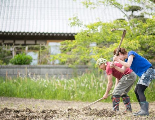 まるがやつ