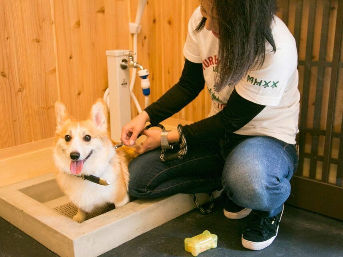 21年最新 京都市周辺でペットと泊まれる宿ランキング 一休 Com