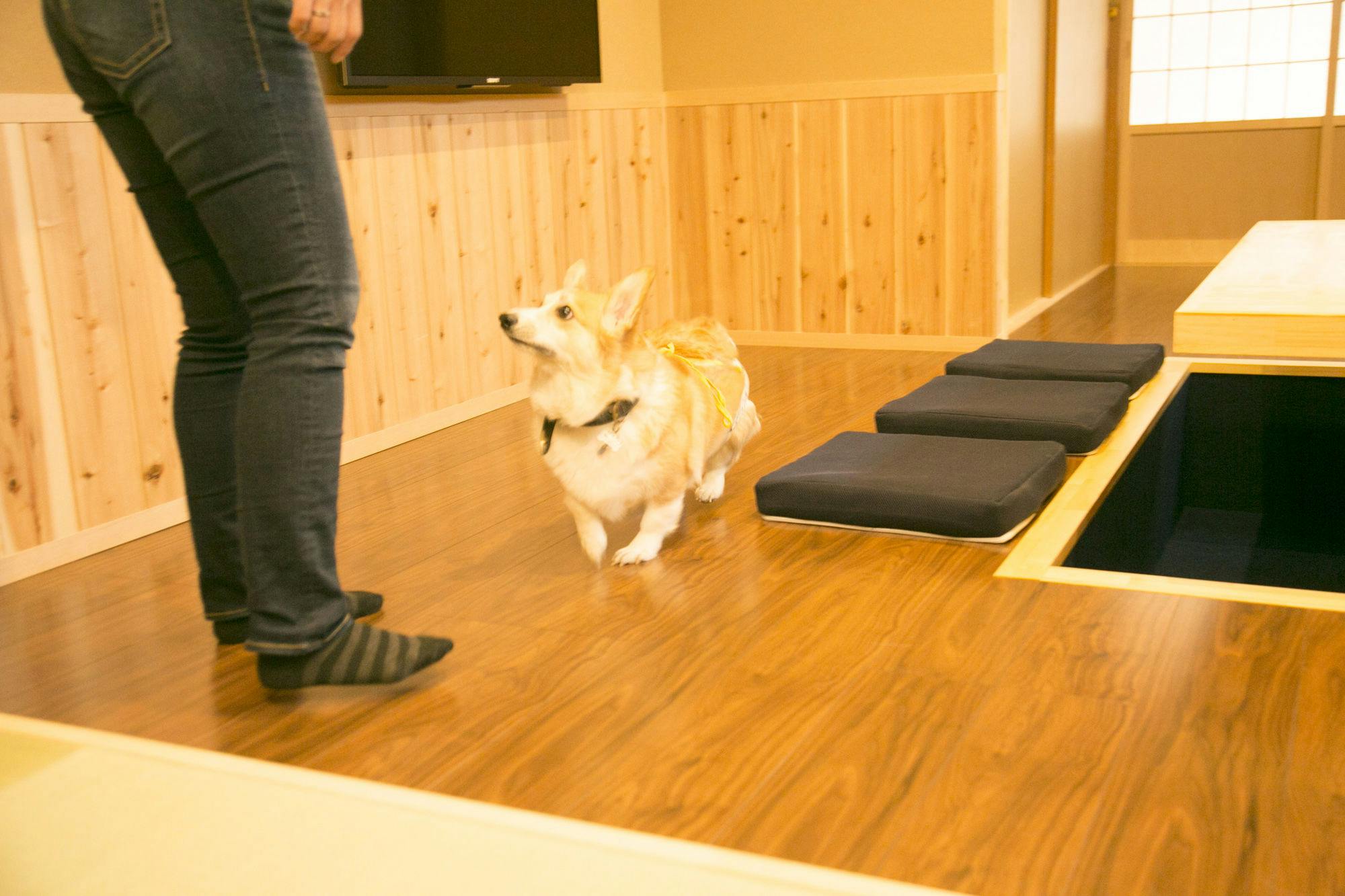 21年最新 京都市周辺でペットと泊まれる宿ランキング 一休 Com