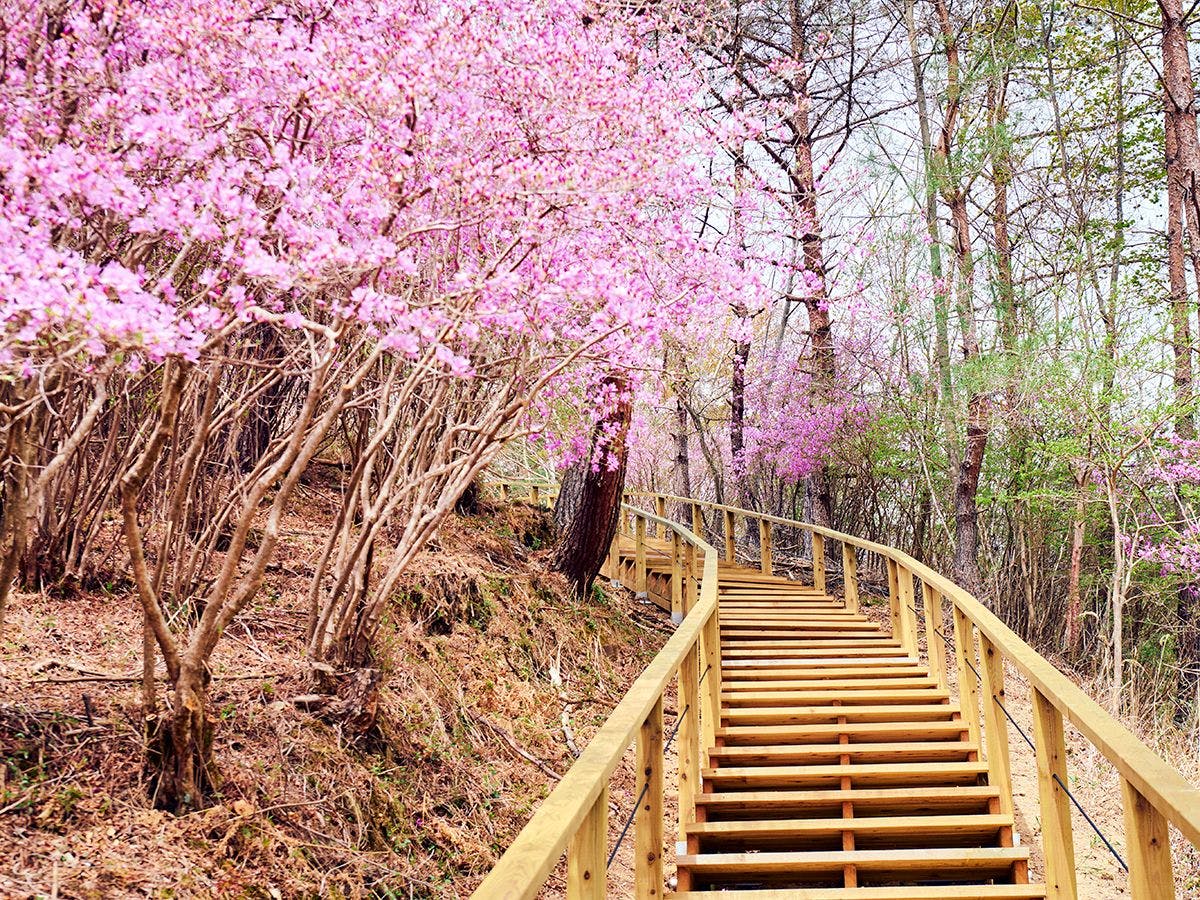 ASOBIYUKU 京都るり渓温泉HANARE/VILLA