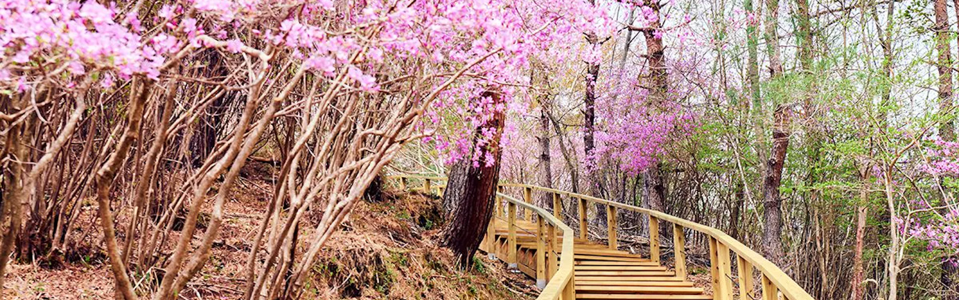 ASOBIYUKU 京都るり渓温泉HANARE/VILLA