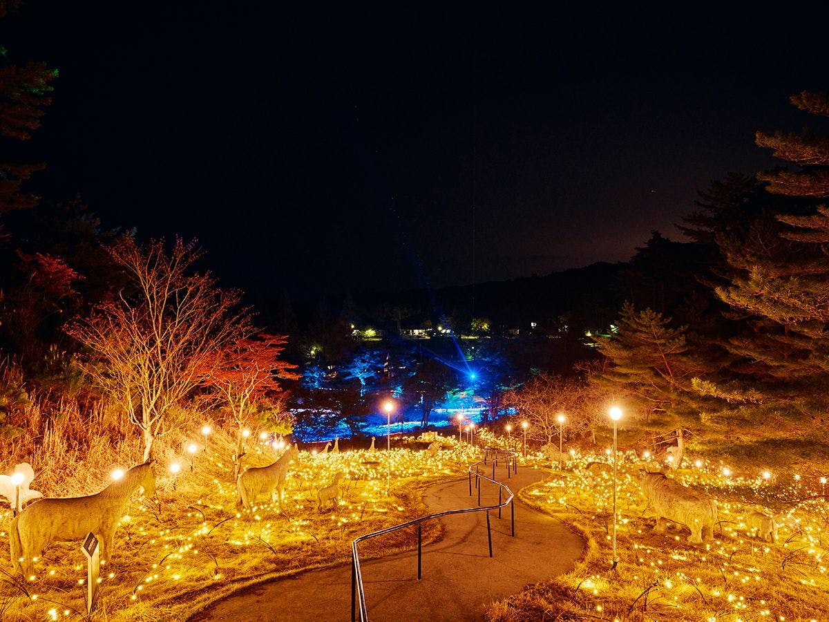 ASOBIYUKU 京都るり渓温泉HANARE/VILLA