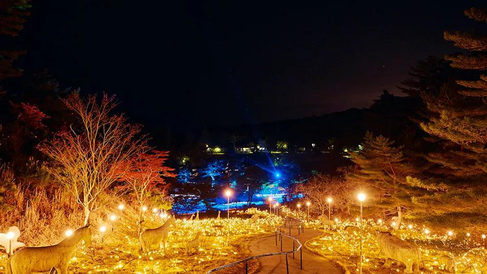GRAX HANARE Kyoto Rurikei