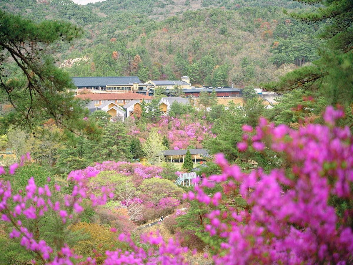 ASOBIYUKU 京都るり渓温泉HANARE/VILLA