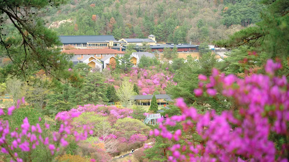 GRAX HANARE Kyoto Rurikei
