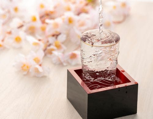 梅一輪　虚心坦懐