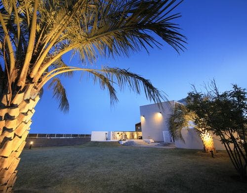 夜景ドッグラン