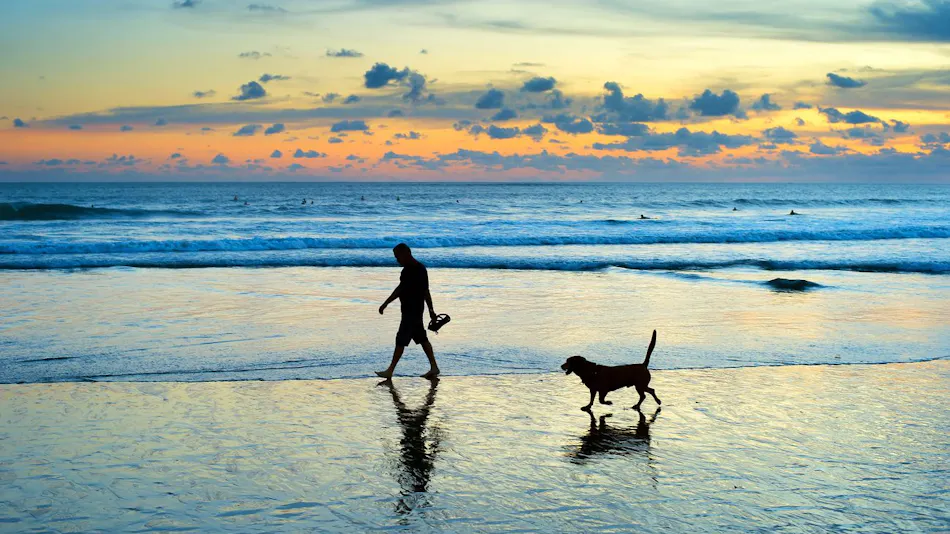 919 Villa Long Beach Dog Friendly